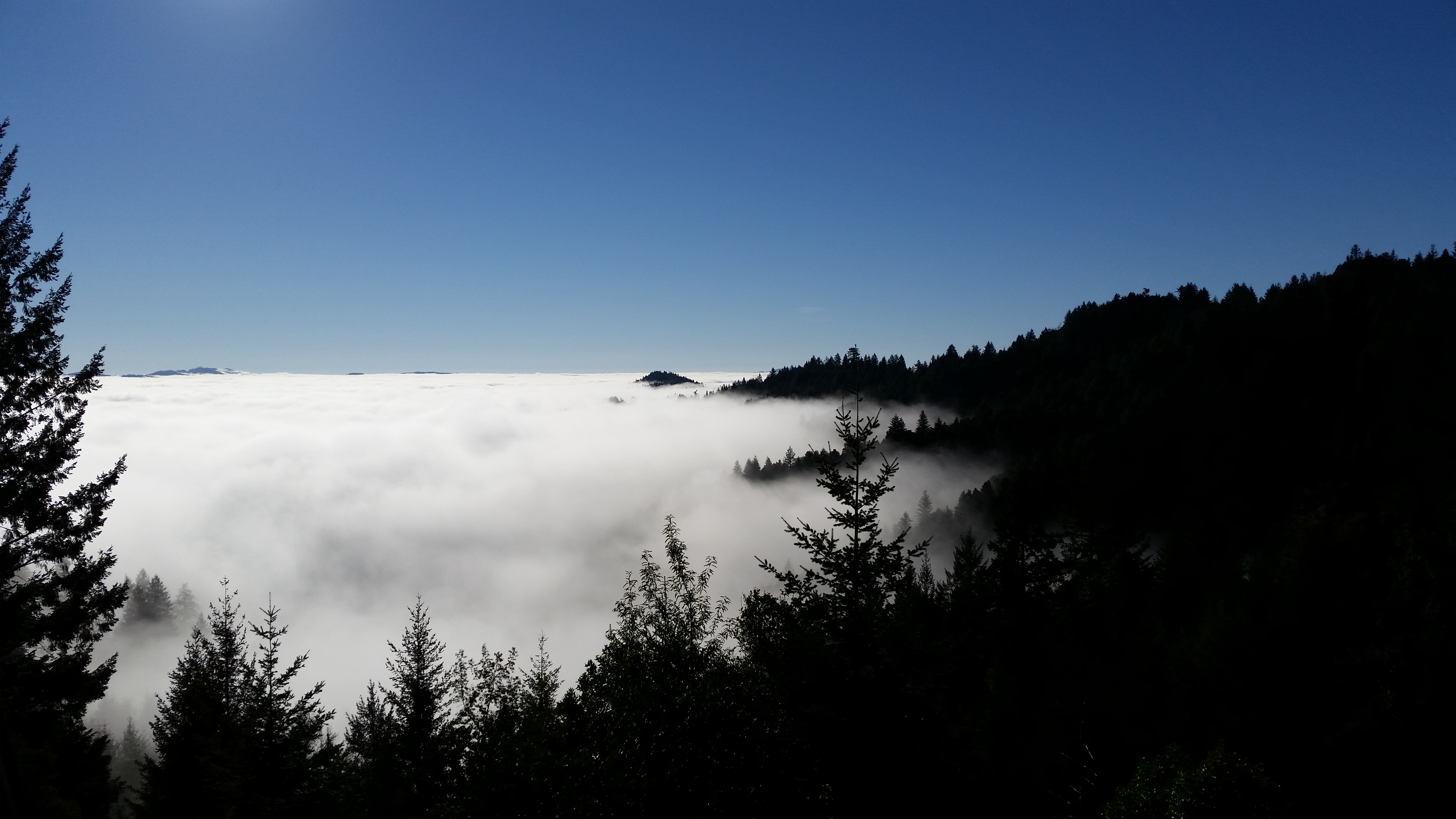 Fog through mountains